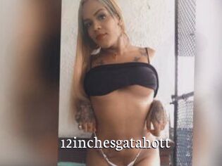 12inchesgatahott