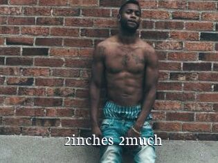 2inches_2much