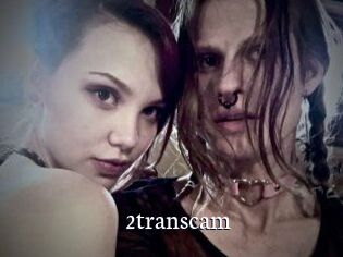 2_trans_cam