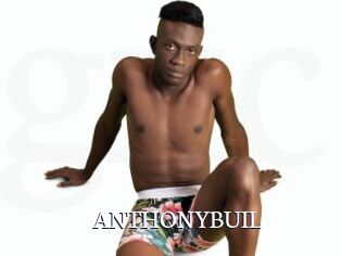 ANTHONYBUIL