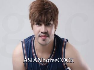 ASIANhorseCQCK