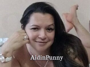 AidinPunny