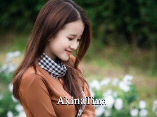 AkinaTina