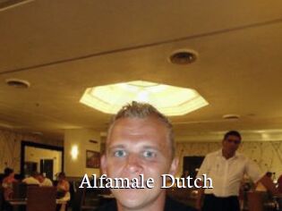 Alfamale_Dutch