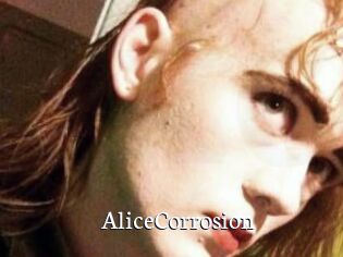 AliceCorrosion
