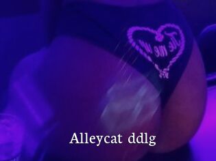 Alleycat_ddlg