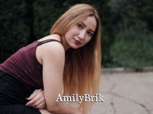 AmilyBrik