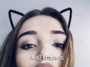 An_Harrison
