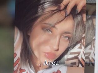 Aneu