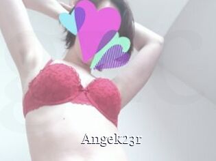 Angek23r