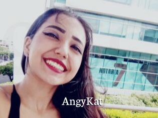 AngyKat