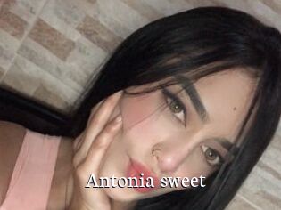 Antonia_sweet