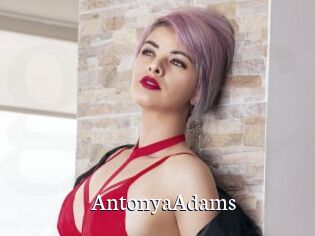 AntonyaAdams