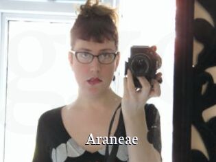 Araneae