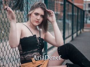 AriaDenef