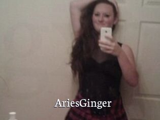 AriesGinger