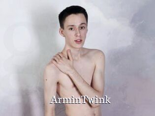 ArminTwink