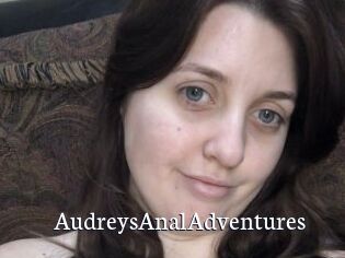 AudreysAnalAdventures