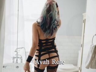 Avah_Rose