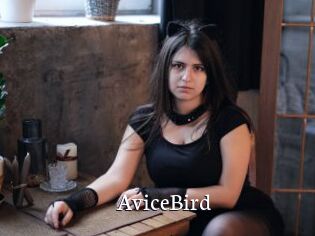 AviceBird