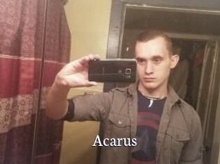 Acarus