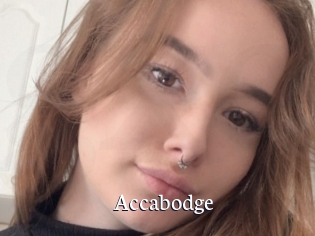 Accabodge