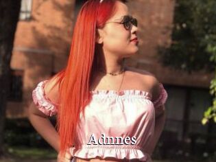 Adnnes