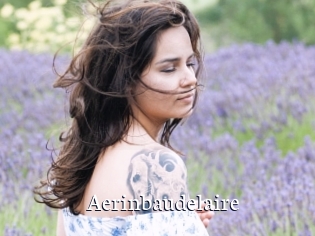 Aerinbaudelaire