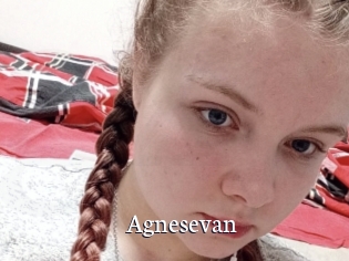 Agnesevan