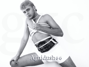 Agnidush66