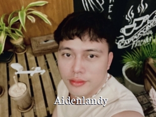 Aidenlandy