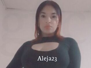 Aleja23