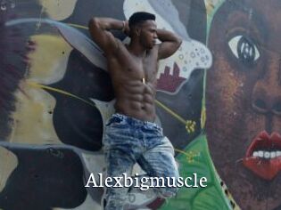 Alexbigmuscle