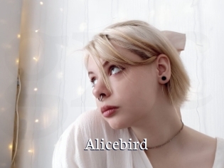 Alicebird