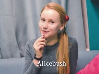 Alicebush
