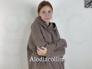 Alodiacollins