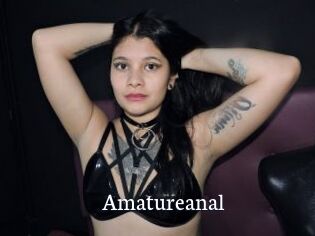 Amatureanal