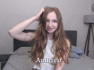 Amilycat