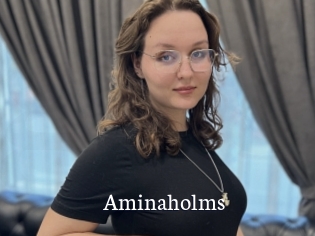 Aminaholms