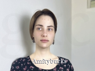 Amityburks