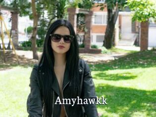 Amyhawkk