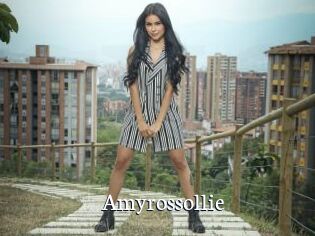 Amyrossollie