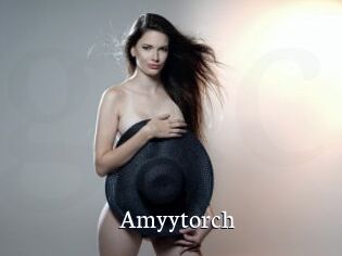Amyytorch