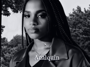Analquin