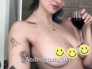 Androgynaughty