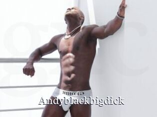 Andyblackbigdick