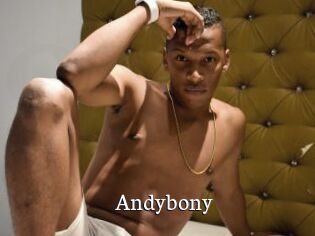 Andybony