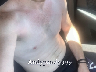 Andypandy999