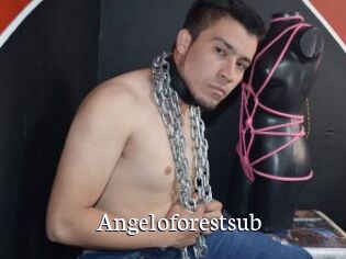 Angeloforestsub