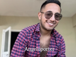Angeloporter